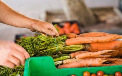 Hogyan érdemes összehasonlítani a zöldségfeldolgozó gépek típusait?