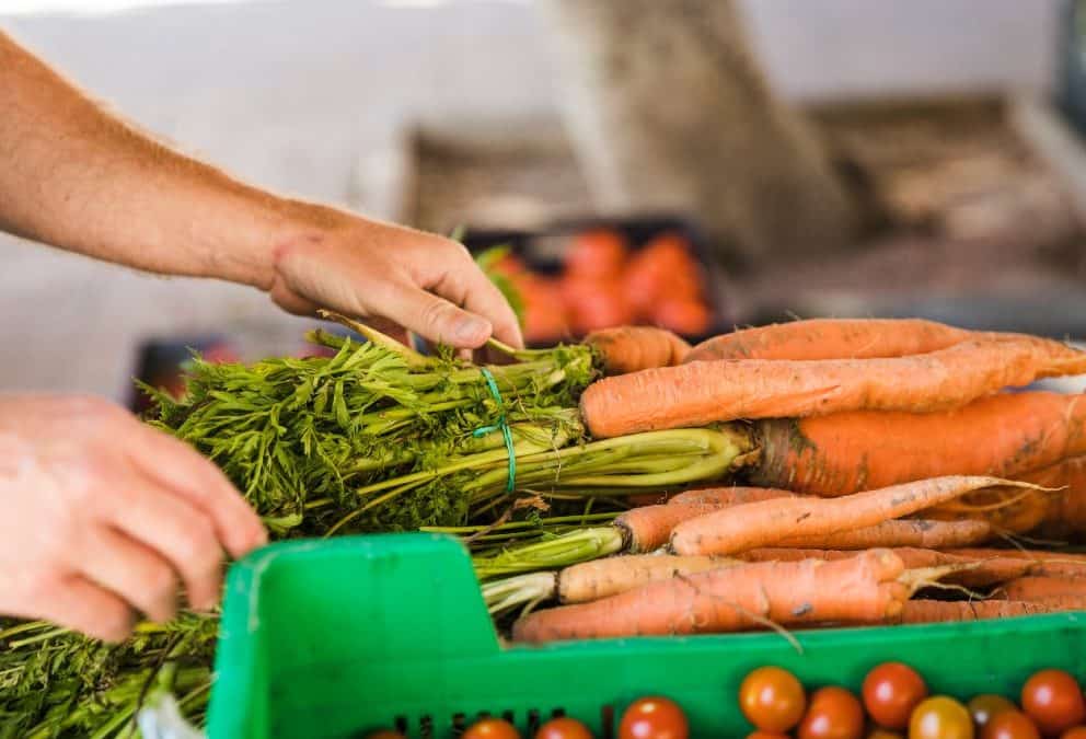 Hogyan érdemes összehasonlítani a zöldségfeldolgozó gépek típusait?