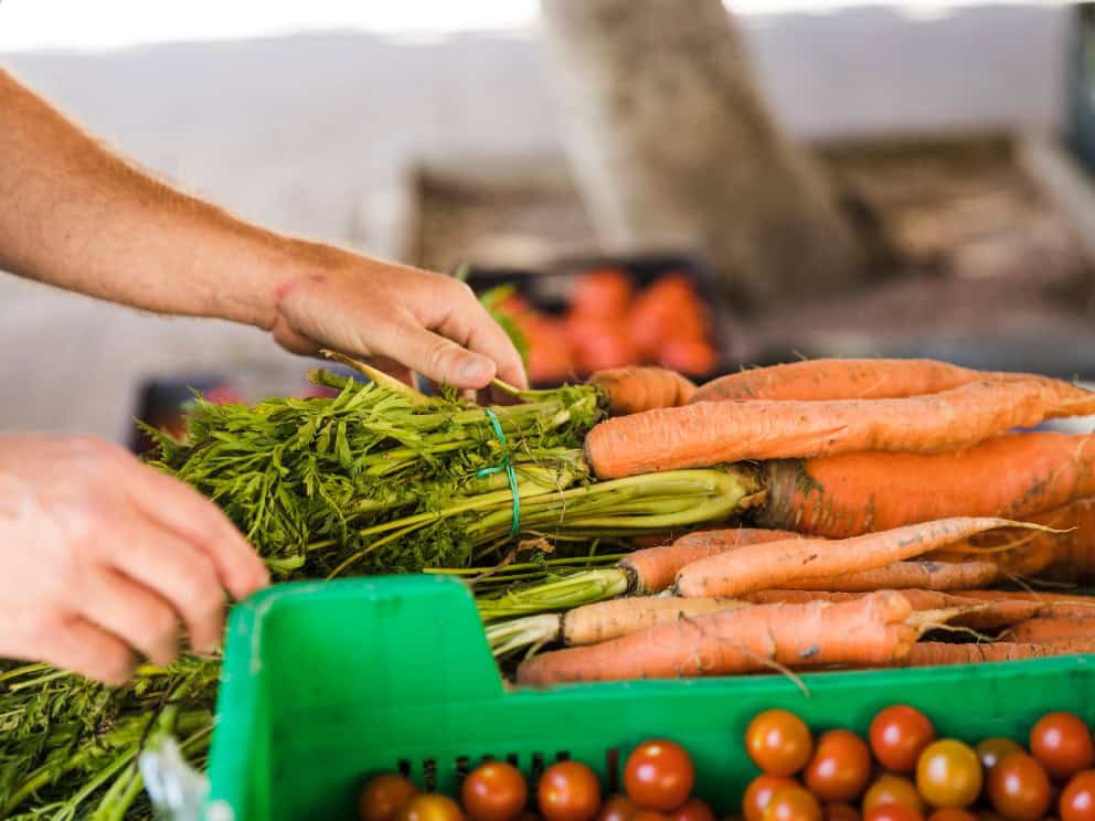 zöldségfeldolgozó gépek