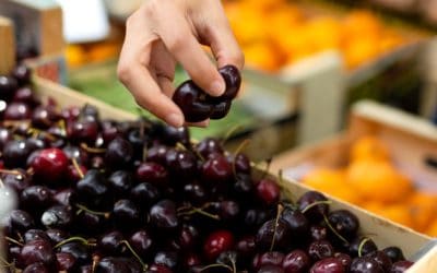 Mi alapján hasonlítsuk össze az élelmiszer-feldolgozó gépek típusait?