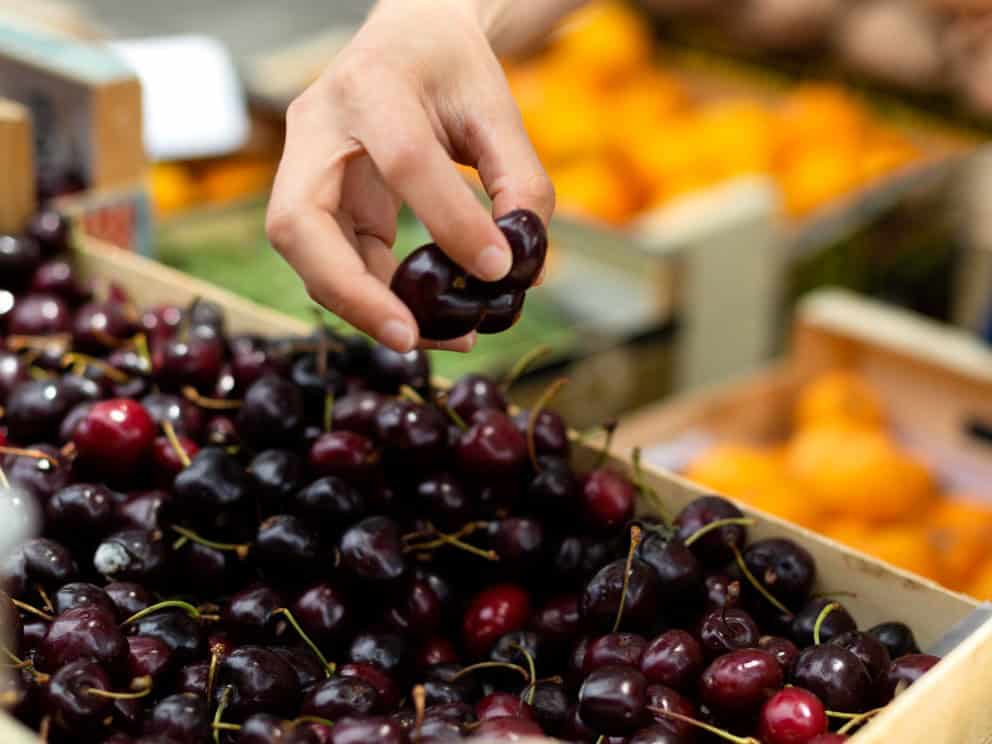 élelmiszer-feldolgozó gépek