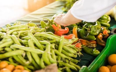 Hogyan ne fürödjünk be zöldségfeldolgozó gépek beszerzésekor: 3 fontos jótanács!