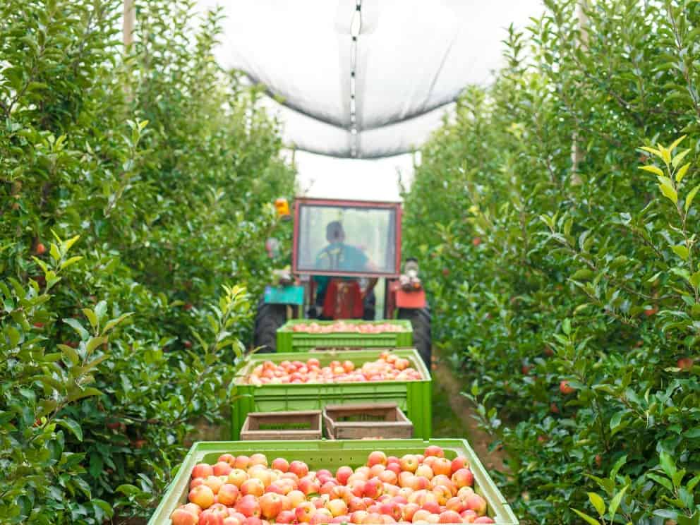 élelmiszeripari gépek beszerzése