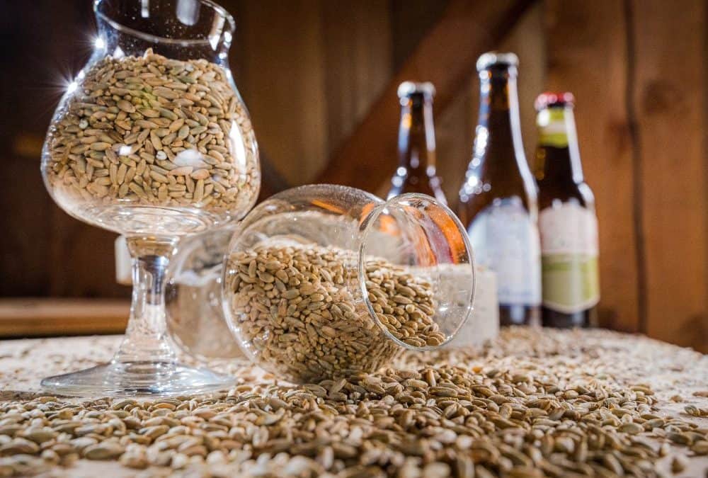 Hogyan fejleszthető egy sörfőző cég gépesítése?