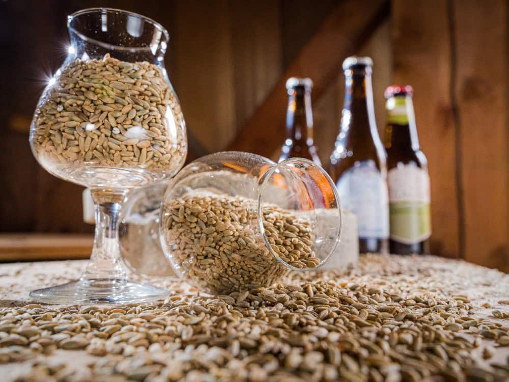 sörfőző cég gépesítése