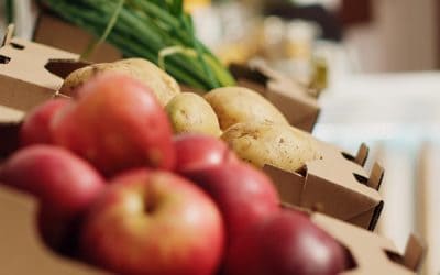 Mikor érdemes felújítani a zöldség- és gyümölcs-feldolgozó gépeket?