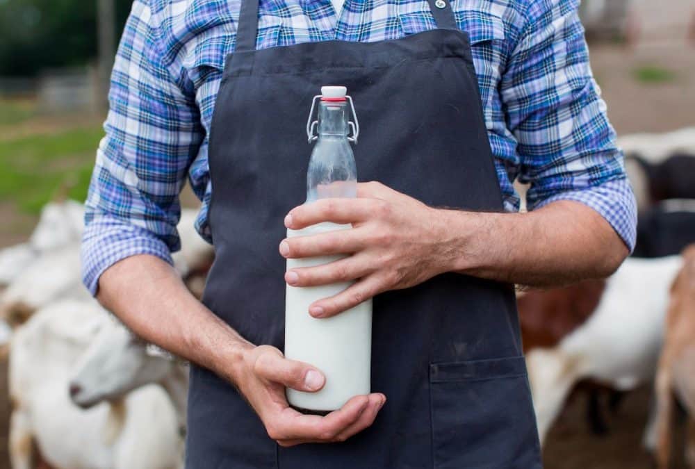 Egyedi gépek egy tejfeldolgozó üzemben: mikor éri meg ilyeneket alkalmazni?