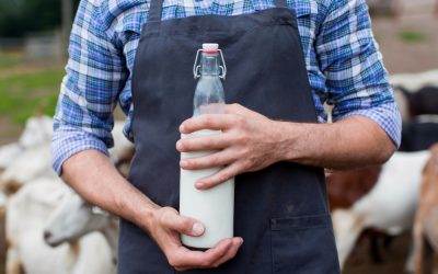 Egyedi gépek egy tejfeldolgozó üzemben: mikor éri meg ilyeneket alkalmazni?