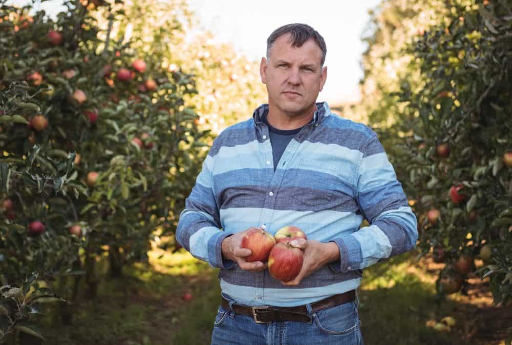 Zöldség- és gyümölcs-feldolgozó gépek modernizálása: hogyan lehet olcsóbb?