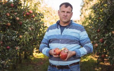 Zöldség- és gyümölcs-feldolgozó gépek modernizálása: hogyan lehet olcsóbb?