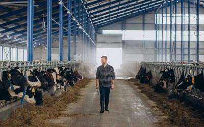 Tejfeldolgozó gépek felújítása: így zajlik a folyamat!