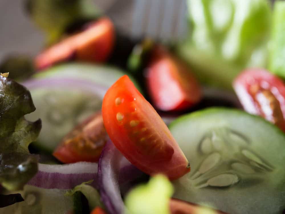 zöldségfeldolgozó gép bérlése