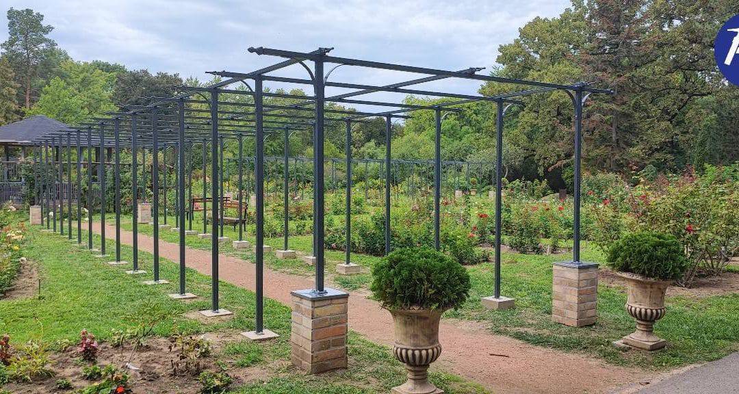 Ez is a mi munkánk: rózsafuttatók a Szegedi Tudományegyetem Füvészkertjében